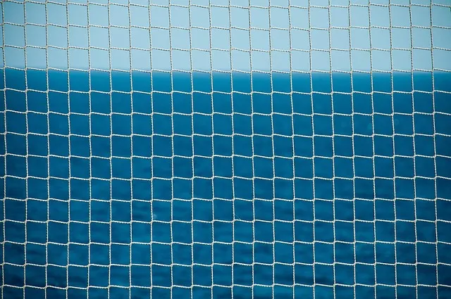 Bird netting service in Delhi