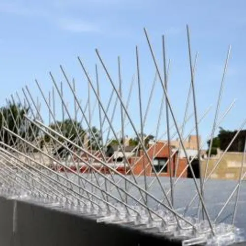 Bird spike installation service